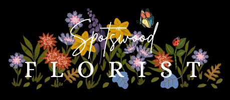 Spotswood Florist