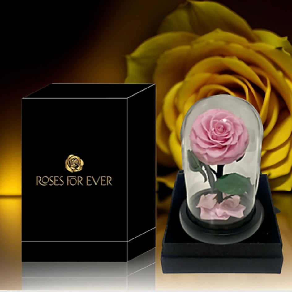 Luxurious Preserved Rose Dome