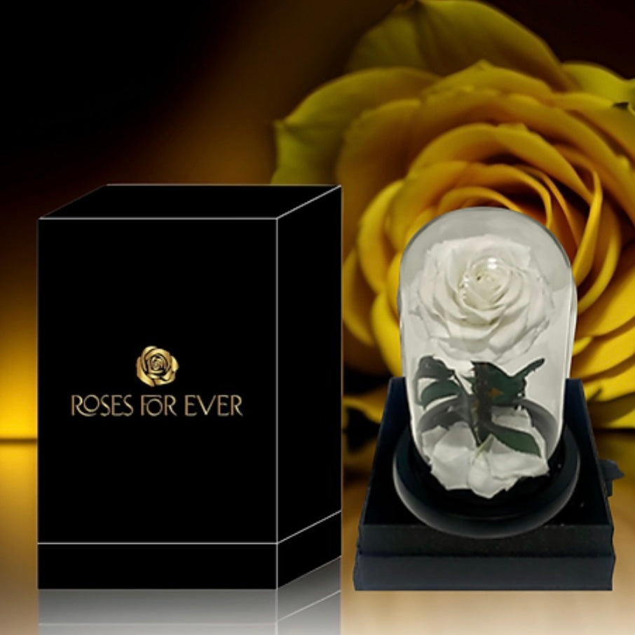 Luxurious Preserved Rose Dome