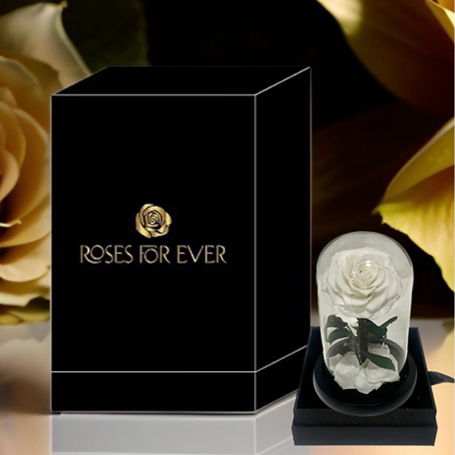 Preserved Rose For Ever