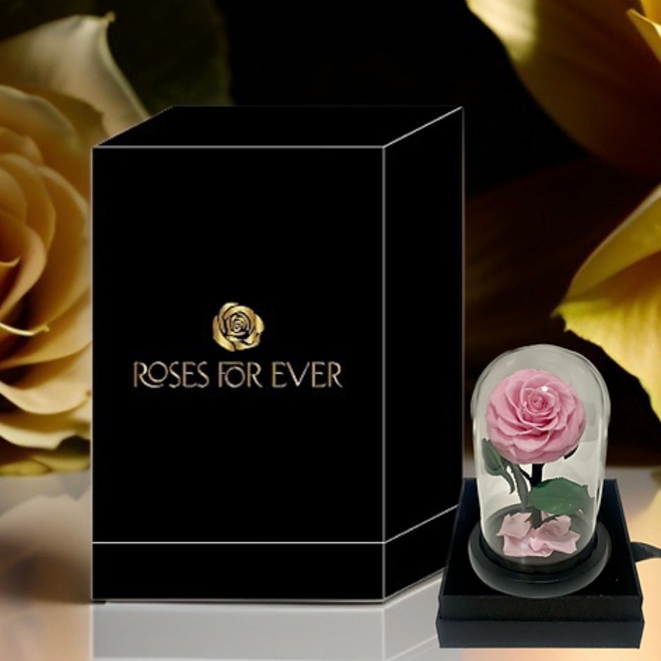 Preserved Rose For Ever